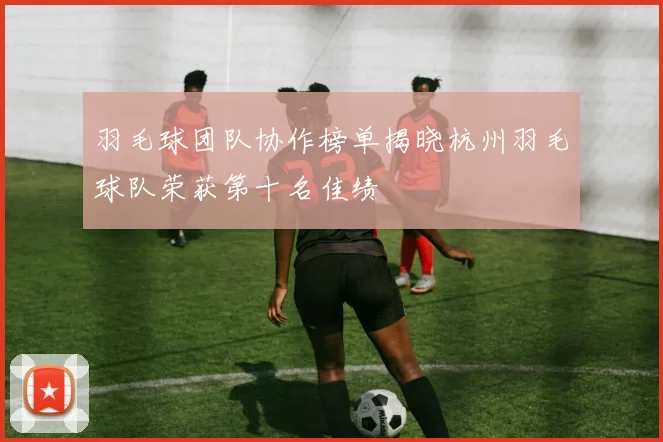 羽毛球团队协作榜单揭晓杭州羽毛球队荣获第十名佳绩